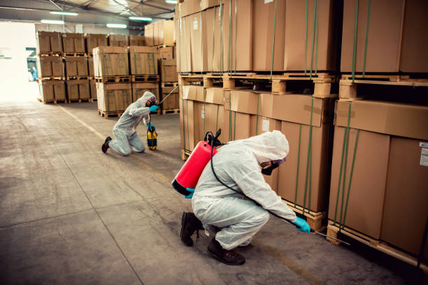 Best Ant Control Services  in Central City, KY