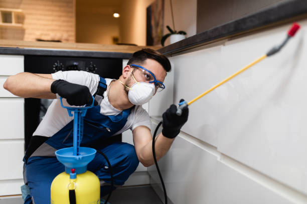 Professional Pest Control in Central City, KY