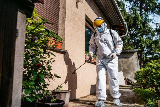 Best Affordable Pest Control Services  in Central City, KY