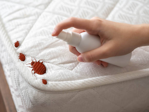Best Affordable Pest Control Services  in Central City, KY