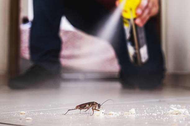 Best Best Pest Control Companies  in Central City, KY