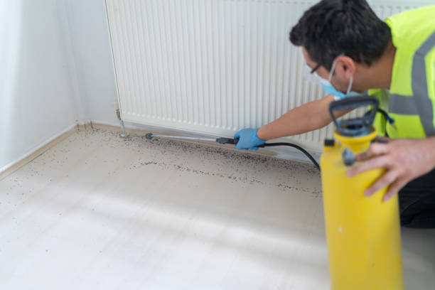 Best Termite Control Services  in Central City, KY
