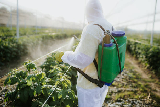 Best Best Pest Control Companies  in Central City, KY